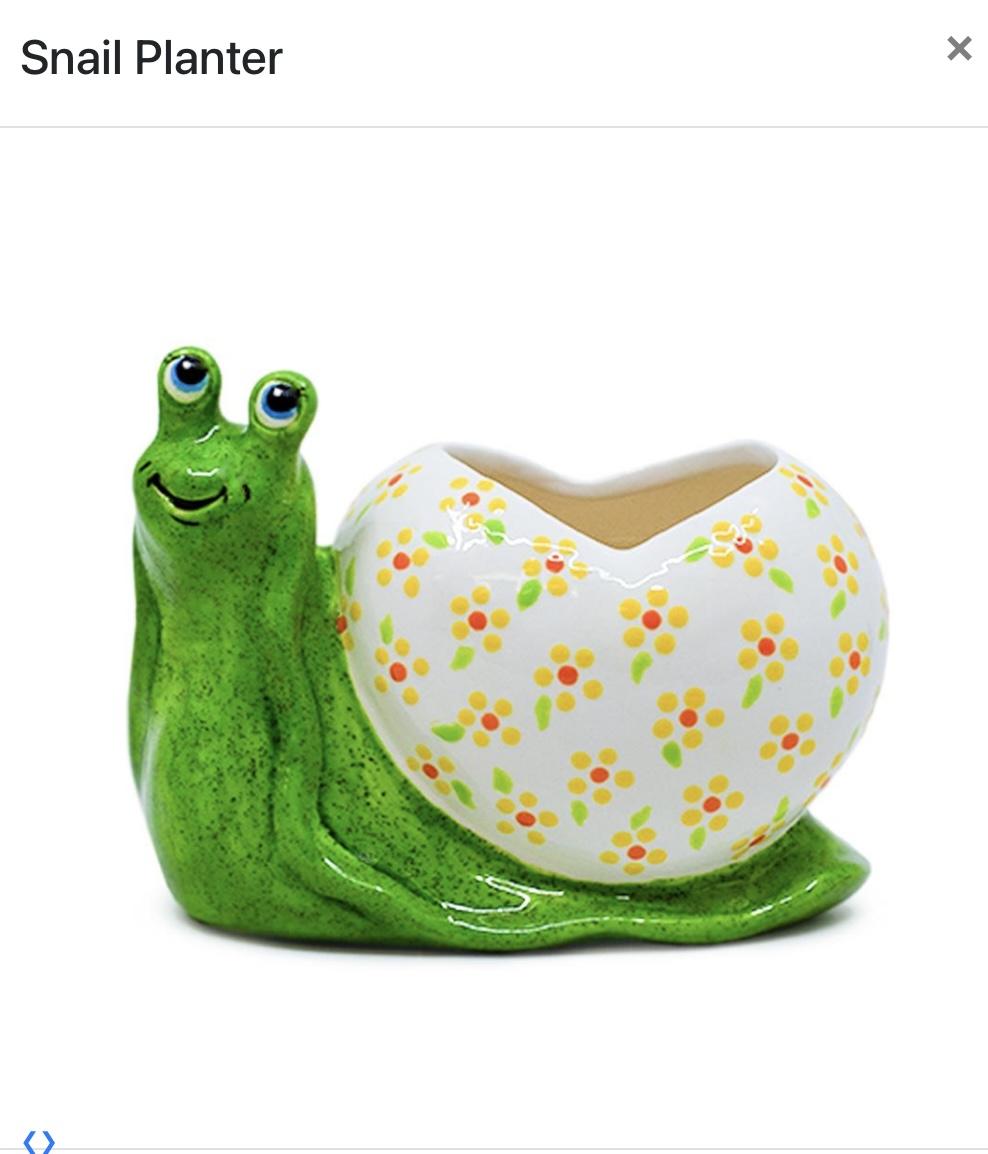 snail planter